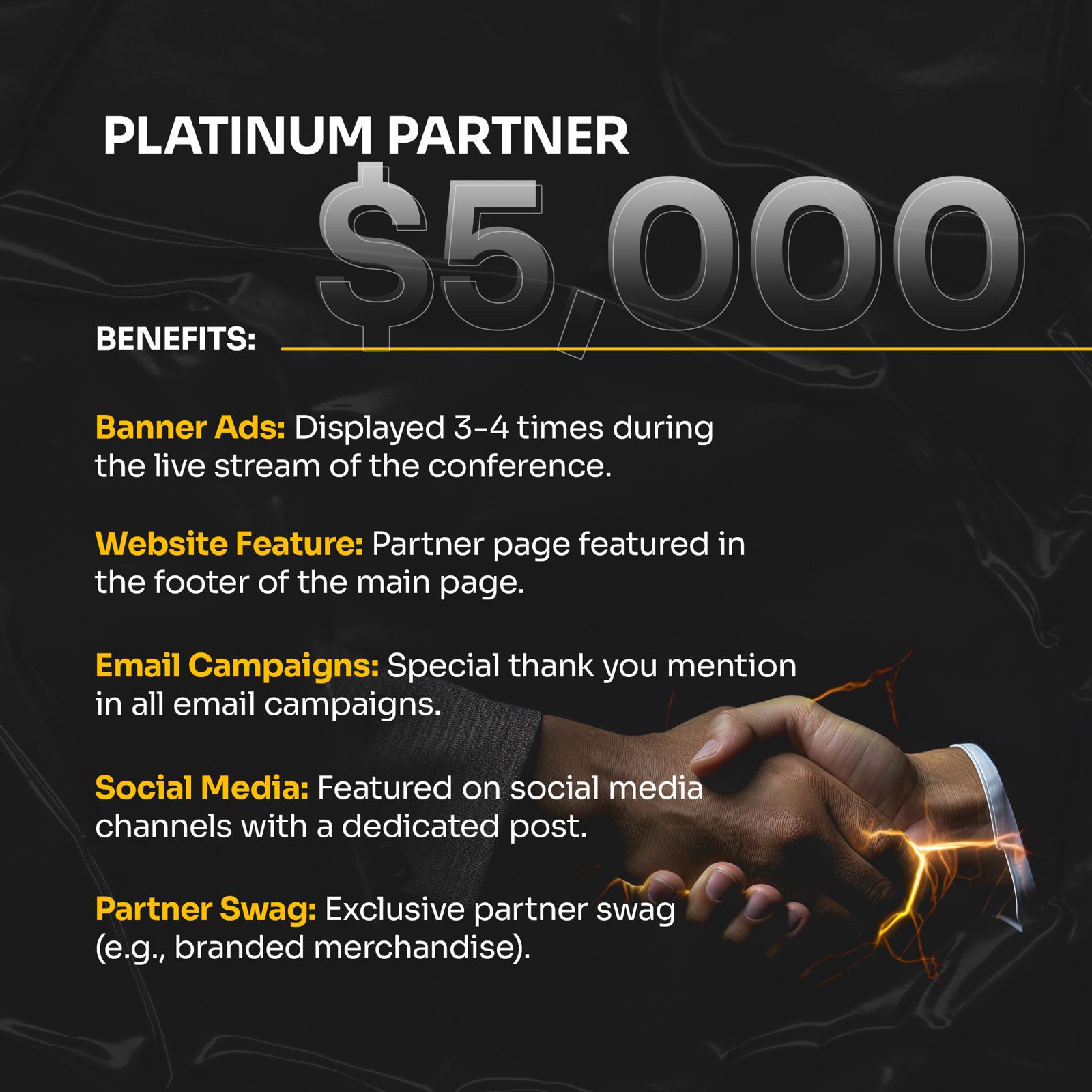 Platinum-Partner.jpeg